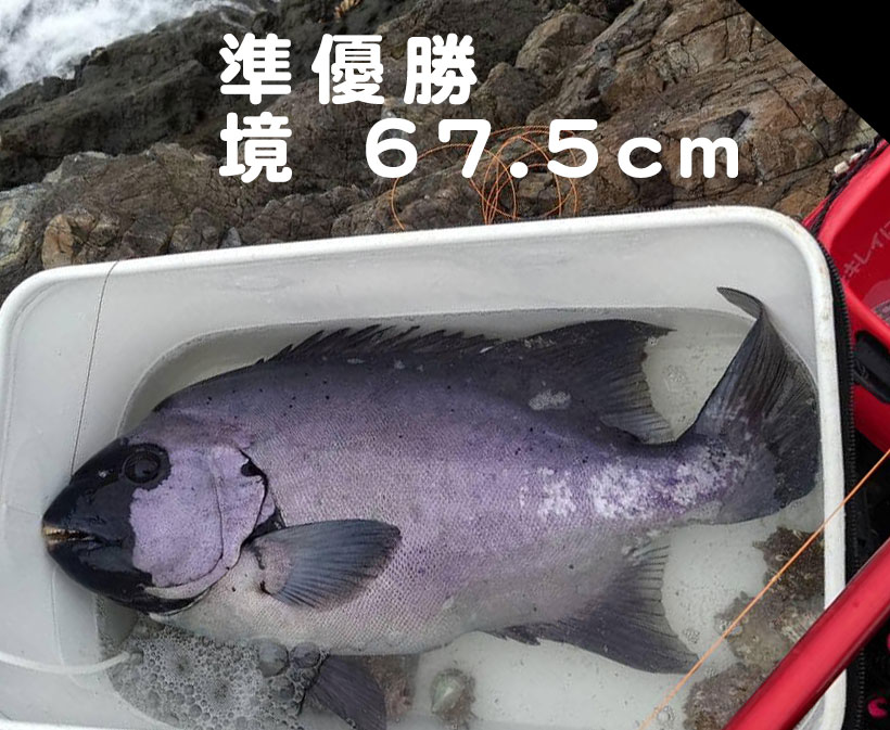 sakai67.5